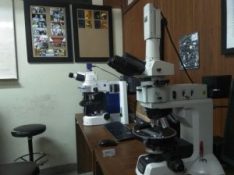 microscope1-300x225 (1)